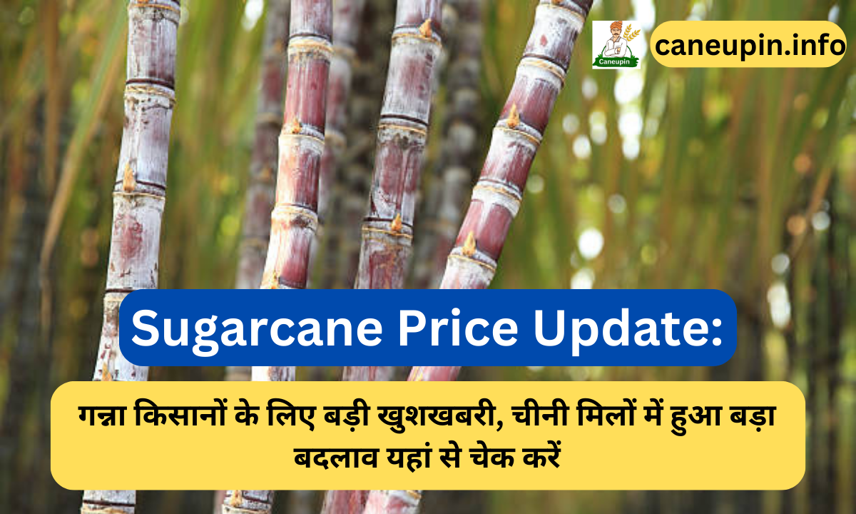 Sugarcane Price Update: